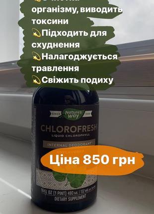 Хлорофіл