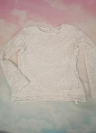 Ніжна кофта🌸🪽