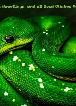 Набор новогодних открыток apriori 8 шт, 10 на 15 см, "с новым годом!" , " с...