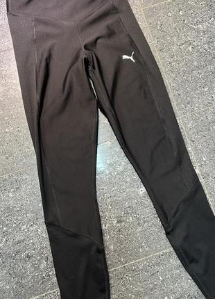 Лосіни puma