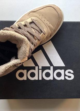 Високі кросівки adidas hoops 2.0