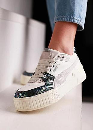 Pumal cali sport animal 38