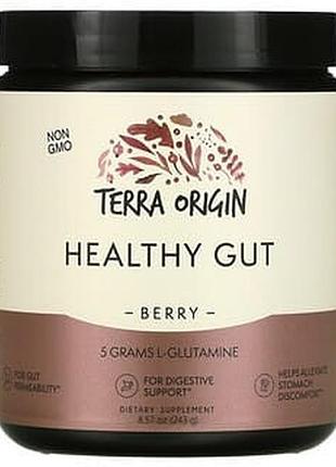 Terra origin, добавка для нормализации функций желудочно-кишечного тракта, вкус ягод, 243 г