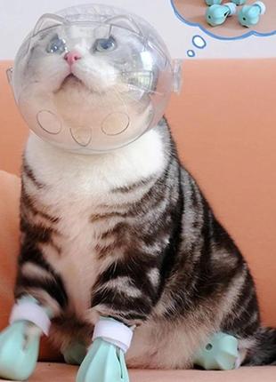 Куля-намордник та гумові чобітки для кішки та собаки маленьких порід на шию до 15 см