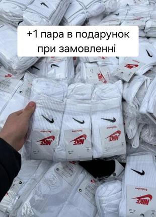Шкарпетки nike  exclusive