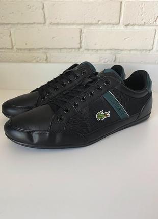 Кеди lacoste3 фото