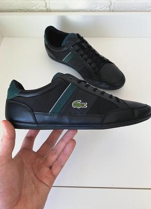 Кеди lacoste9 фото