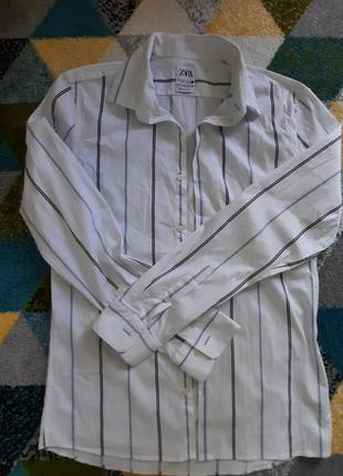 Сорочка в полоску, блуза в смужку натуральна на довгий рукав на гудзики  zara, сорочка на осінь