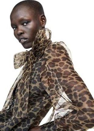 Блузка принт леопард zara