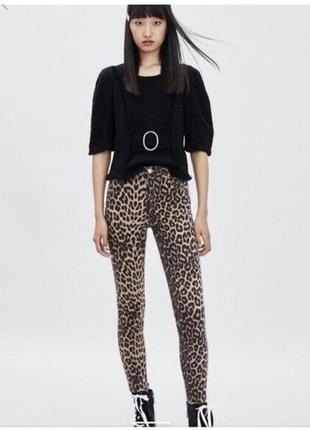 Леопардовые джинсы zara