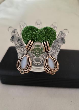 Вінтажні клипси