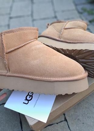 Валинки, угги, ugg полная комплекта