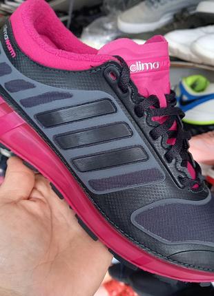 Кросівки adidas