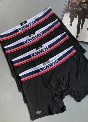 Мужской набор трусов 4 шт lacoste