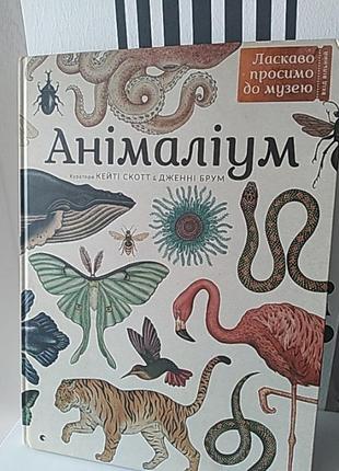 Анімаліум.