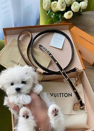 Ошейник поводок для собак