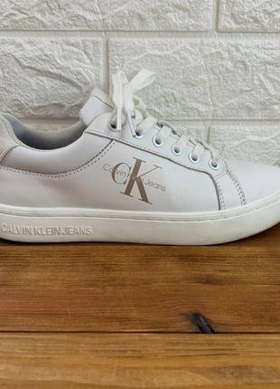 Жіночі кросівки calvin klein classic cupsole fluo contrast yw0yw00912