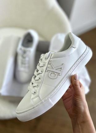 Кеды белые оригинал calvin klein