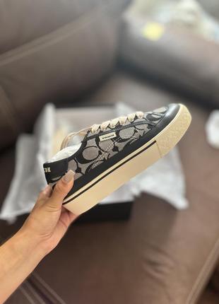 Кеди coach