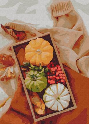 Картина за номерами brushme 40x50см "осінній дарунок" bs52461