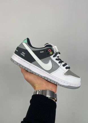 Nike sb dunk low pro iso 'vx1000'
