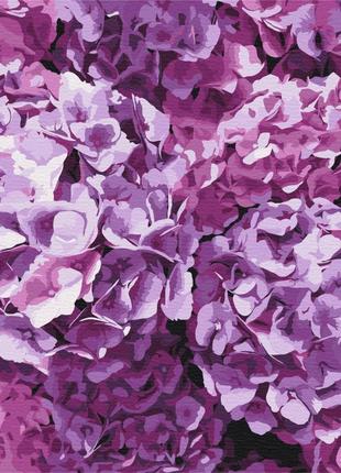 Преміум картина за номерами brushme 40x50см "краса гортензій" pbs52750