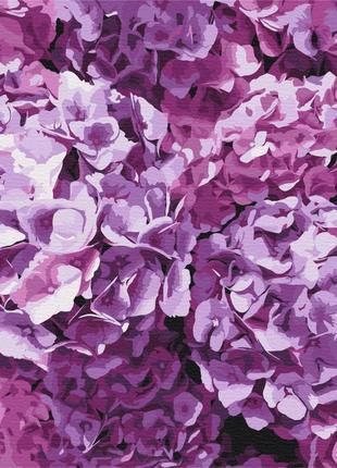 Картина за номерами 40х50 краса гортензій