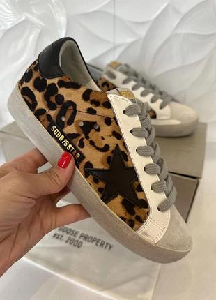 Кеды леопардовые golden goose