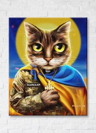 Котик-капеллан ©марианна пащук