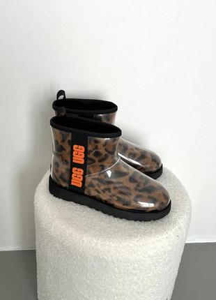 Леопардові силіконові уггі ugg classic clear mini leo