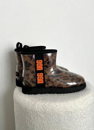 Леопардові силіконові уггі ugg classic clear mini leo