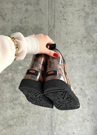 Леопардові силіконові уггі ugg classic clear mini leo