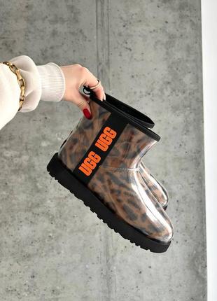 Леопардові силіконові уггі ugg classic clear mini leo