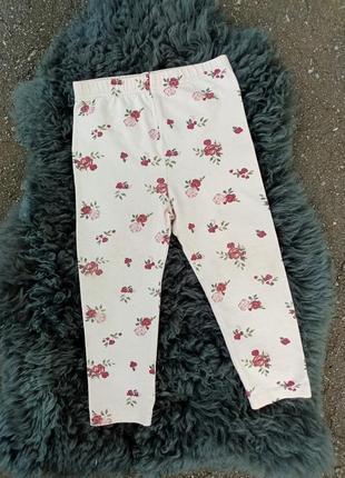 Красиві лосіни tu