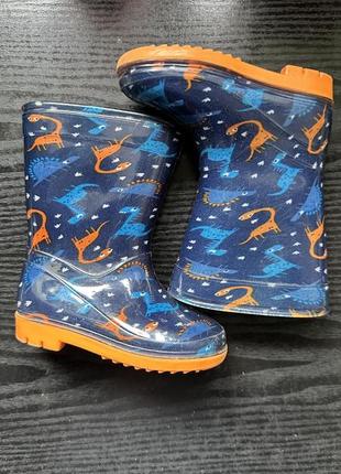 Гумові чоботи