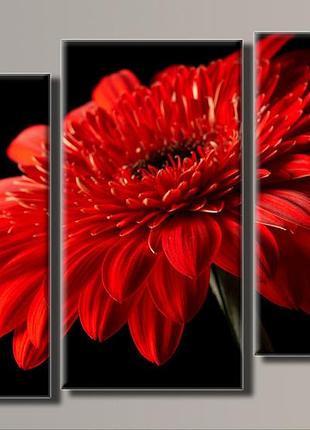 "червона гербера" модульна картина на полотні для інтер'єру