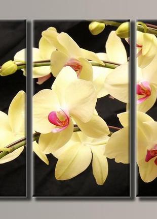 "жовті орхідеї" модульна картина на полотні для інтер'єру