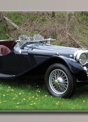 "jaguar" картина на полотні для інтер'єру