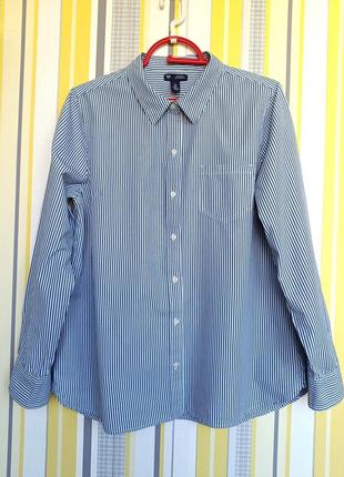 Сорочка р.l gap смугаста жіноча рубашка блуза