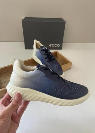 Кросівки екко