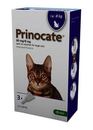 Prinocat (принокат) капли на холку от блох, клещей и гельминтов для кошек от 4 до 8 кг, упаковка