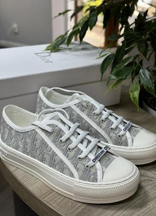 Кеди christian dior