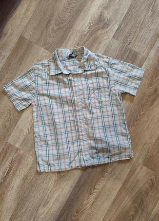 Рубашка фирменная для мальчика