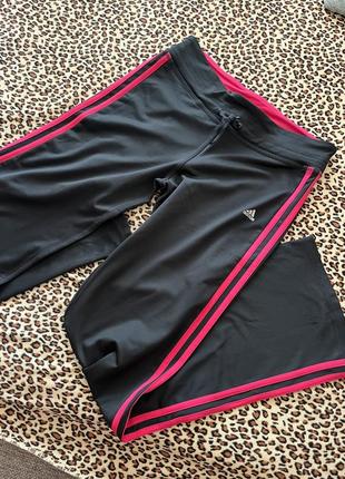 Женские спортивные штаны kurtka adidas