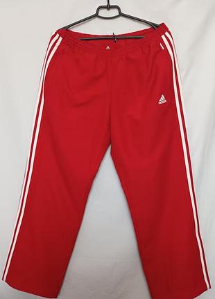 Чоловічі спортивні штани adidas