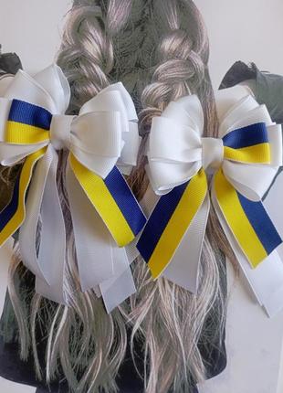 Білі бантики, патріотичні бантики