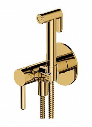 Гігієнічний набір прихованого монтажу omnires y gold (sysybi2gl)