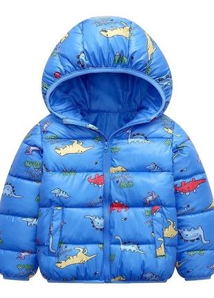 Детская куртка для мальчика 92 размер демисезон голубая