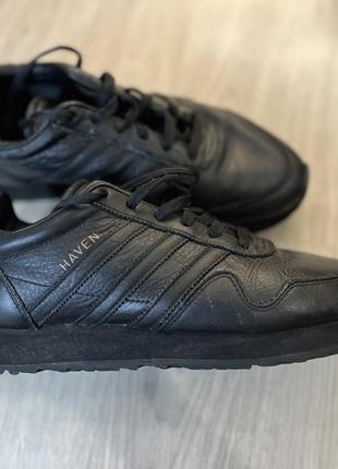 adidas haven 1000 171694821