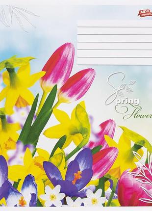 Тетрадь цветная 18 листов, линия